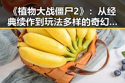 《植物大战僵尸2》：从经典续作到玩法多样的奇幻世界