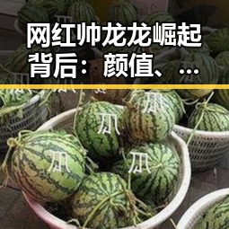 网红帅龙龙崛起背后：颜值、才华与公益兼备的多面人生
